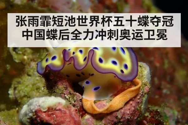 张雨霏短池世界杯五十蝶夺冠 中国蝶后全力冲刺奥运卫冕