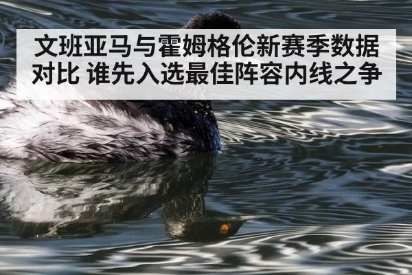 文班亚马与霍姆格伦新赛季数据对比 谁先入选最佳阵容内线之争