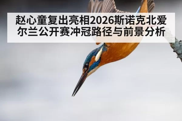 赵心童复出亮相2026斯诺克北爱尔兰公开赛冲冠路径与前景分析